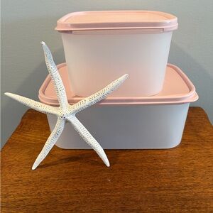 Tupperware Modular Mates #2 Rectangle & Square Pink Seals